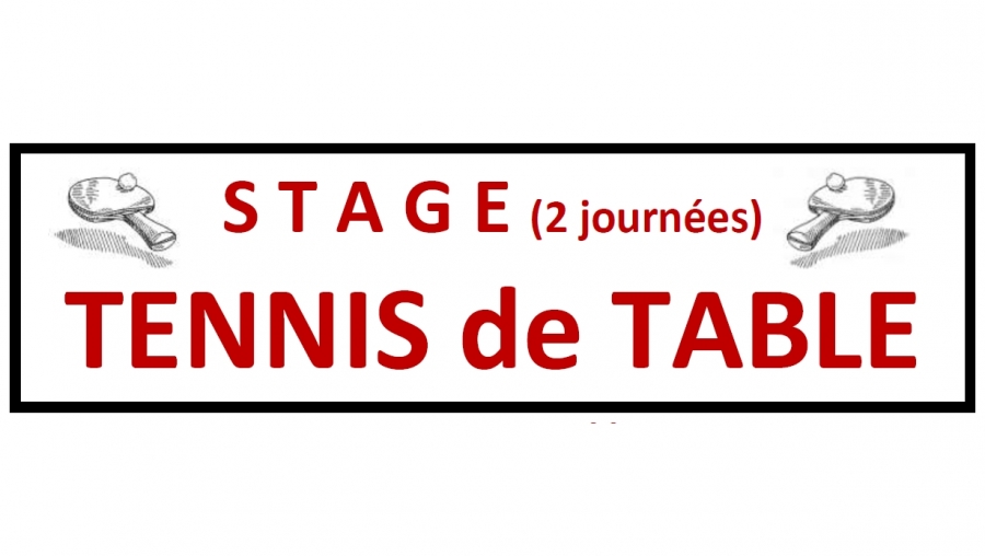 stage_tennis_de_table